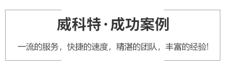 成功案例